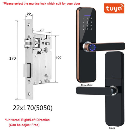 Wifi Electronic Smart Door Lock