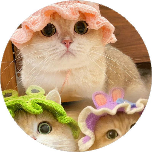 Pet cross-dressing hat Teddy dog frog hat cat flower maid headgear ruffian woolen hat strawberry headdress